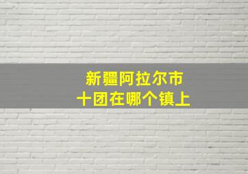 新疆阿拉尔市十团在哪个镇上