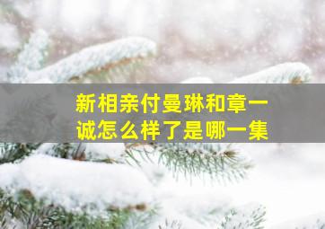 新相亲付曼琳和章一诚怎么样了是哪一集