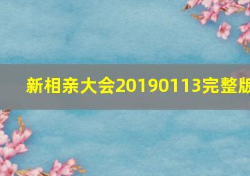 新相亲大会20190113完整版