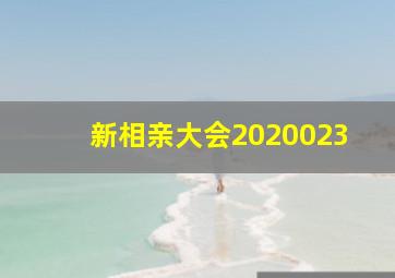 新相亲大会2020023