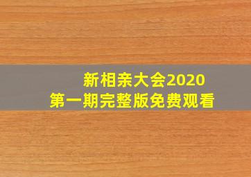 新相亲大会2020第一期完整版免费观看