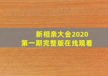 新相亲大会2020第一期完整版在线观看