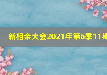 新相亲大会2021年第6季11期