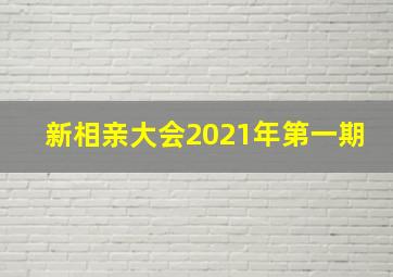 新相亲大会2021年第一期