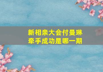 新相亲大会付曼琳牵手成功是哪一期