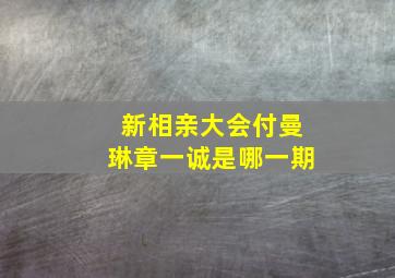 新相亲大会付曼琳章一诚是哪一期