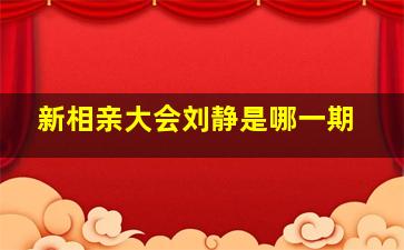 新相亲大会刘静是哪一期