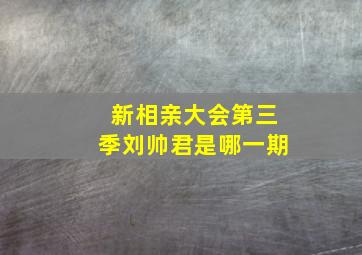 新相亲大会第三季刘帅君是哪一期