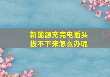 新能源充完电插头拔不下来怎么办呢