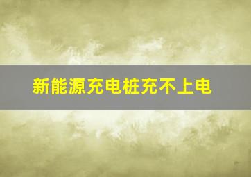 新能源充电桩充不上电