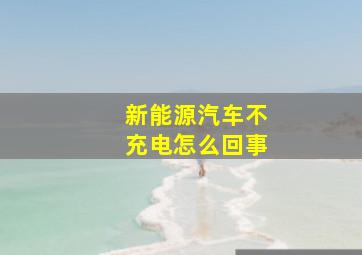 新能源汽车不充电怎么回事