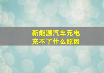 新能源汽车充电充不了什么原因