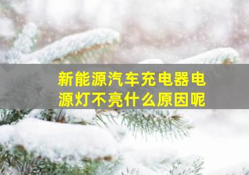 新能源汽车充电器电源灯不亮什么原因呢