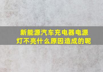 新能源汽车充电器电源灯不亮什么原因造成的呢