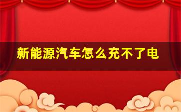 新能源汽车怎么充不了电