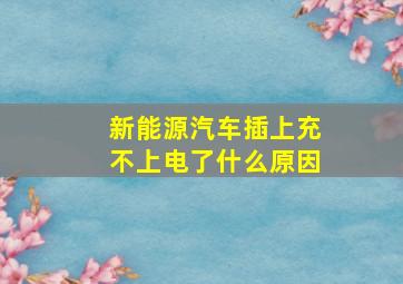 新能源汽车插上充不上电了什么原因