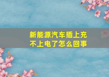 新能源汽车插上充不上电了怎么回事