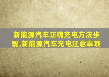 新能源汽车正确充电方法步骤,新能源汽车充电注意事项