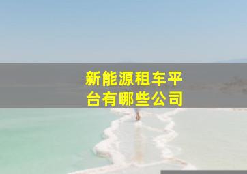 新能源租车平台有哪些公司