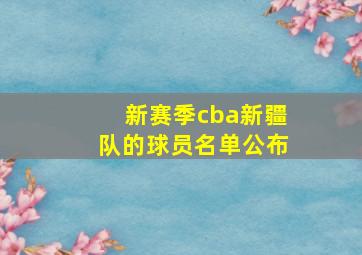 新赛季cba新疆队的球员名单公布