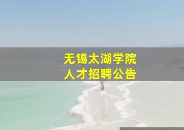 无锡太湖学院人才招聘公告