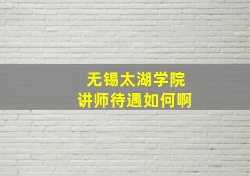 无锡太湖学院讲师待遇如何啊