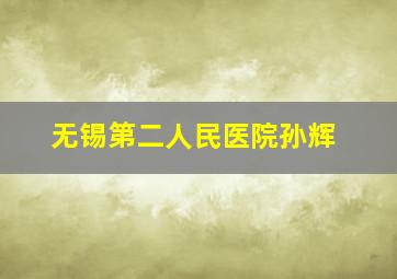 无锡第二人民医院孙辉