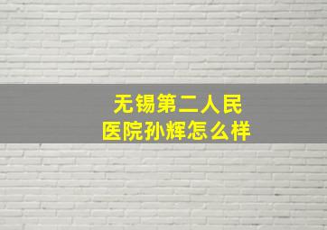 无锡第二人民医院孙辉怎么样