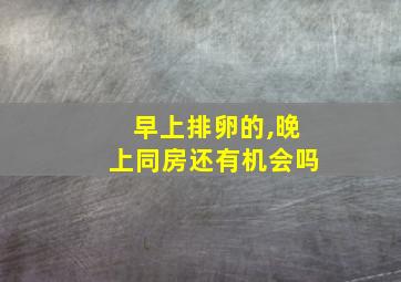 早上排卵的,晚上同房还有机会吗