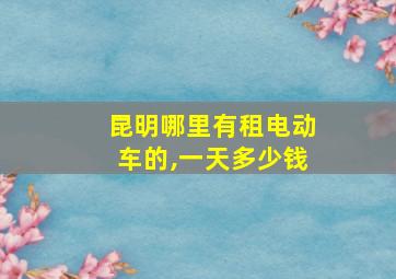 昆明哪里有租电动车的,一天多少钱