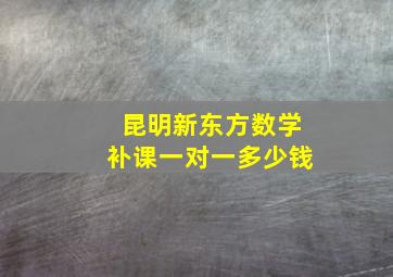 昆明新东方数学补课一对一多少钱