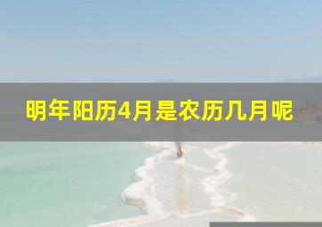 明年阳历4月是农历几月呢