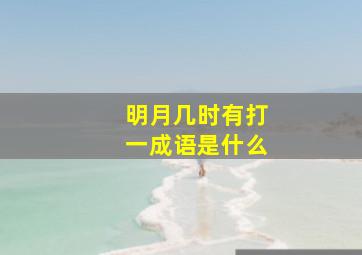 明月几时有打一成语是什么