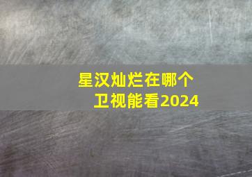 星汉灿烂在哪个卫视能看2024