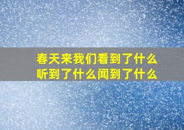 春天来我们看到了什么听到了什么闻到了什么