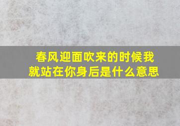 春风迎面吹来的时候我就站在你身后是什么意思