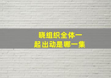 晓组织全体一起出动是哪一集