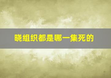 晓组织都是哪一集死的