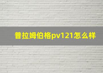 普拉姆伯格pv121怎么样