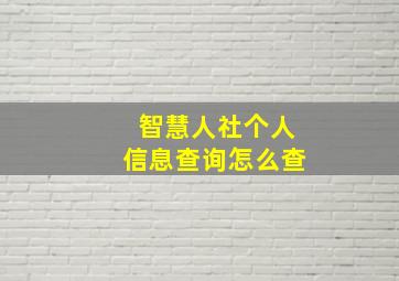 智慧人社个人信息查询怎么查