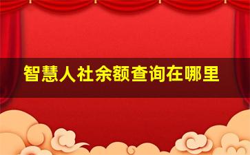 智慧人社余额查询在哪里