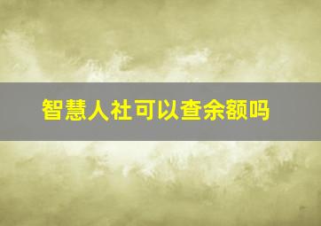 智慧人社可以查余额吗