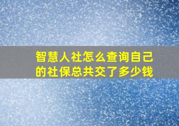 智慧人社怎么查询自己的社保总共交了多少钱