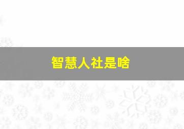 智慧人社是啥