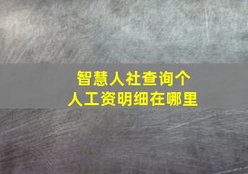 智慧人社查询个人工资明细在哪里