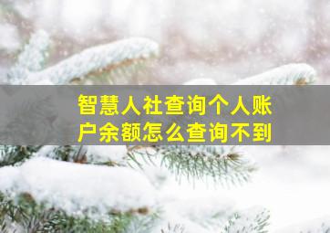 智慧人社查询个人账户余额怎么查询不到