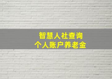 智慧人社查询个人账户养老金