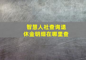 智慧人社查询退休金明细在哪里查