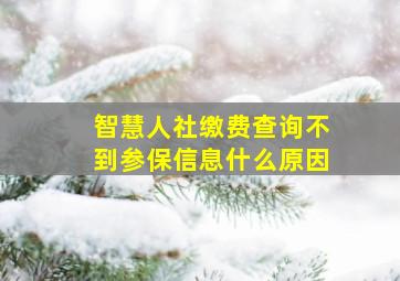 智慧人社缴费查询不到参保信息什么原因