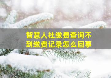 智慧人社缴费查询不到缴费记录怎么回事